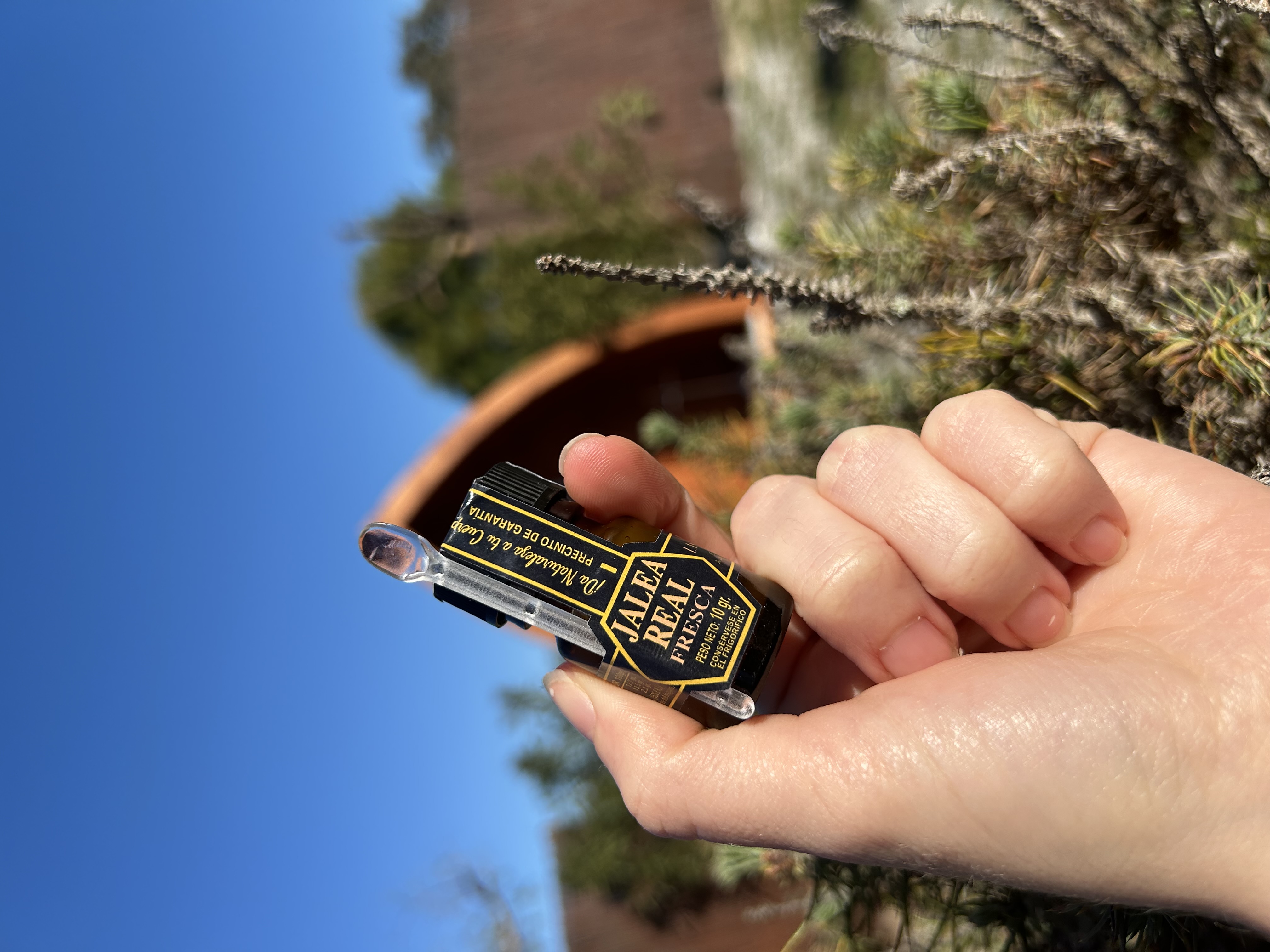 Jalea real fresca 10gr