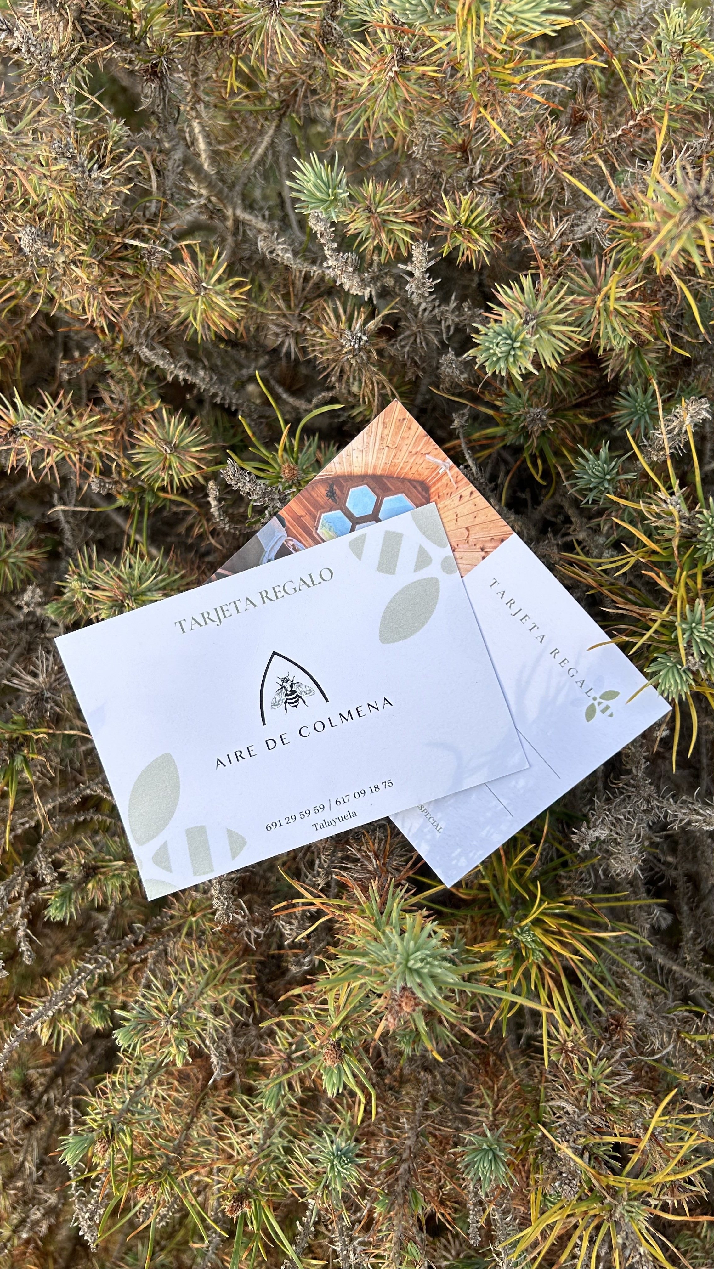 Tarjeta Regalo Aire y Colmena