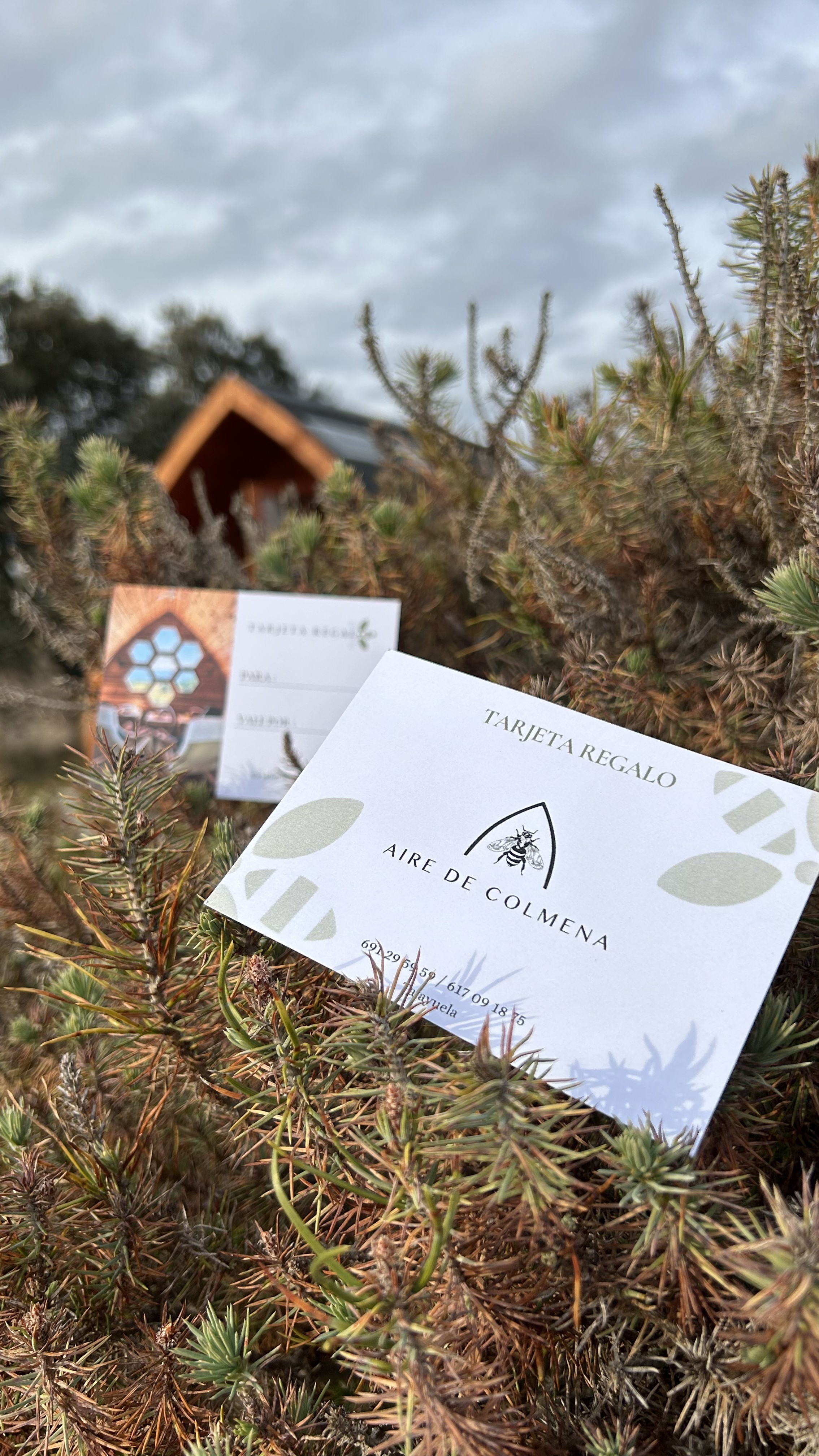 Tarjeta Regalo Aire y Colmena