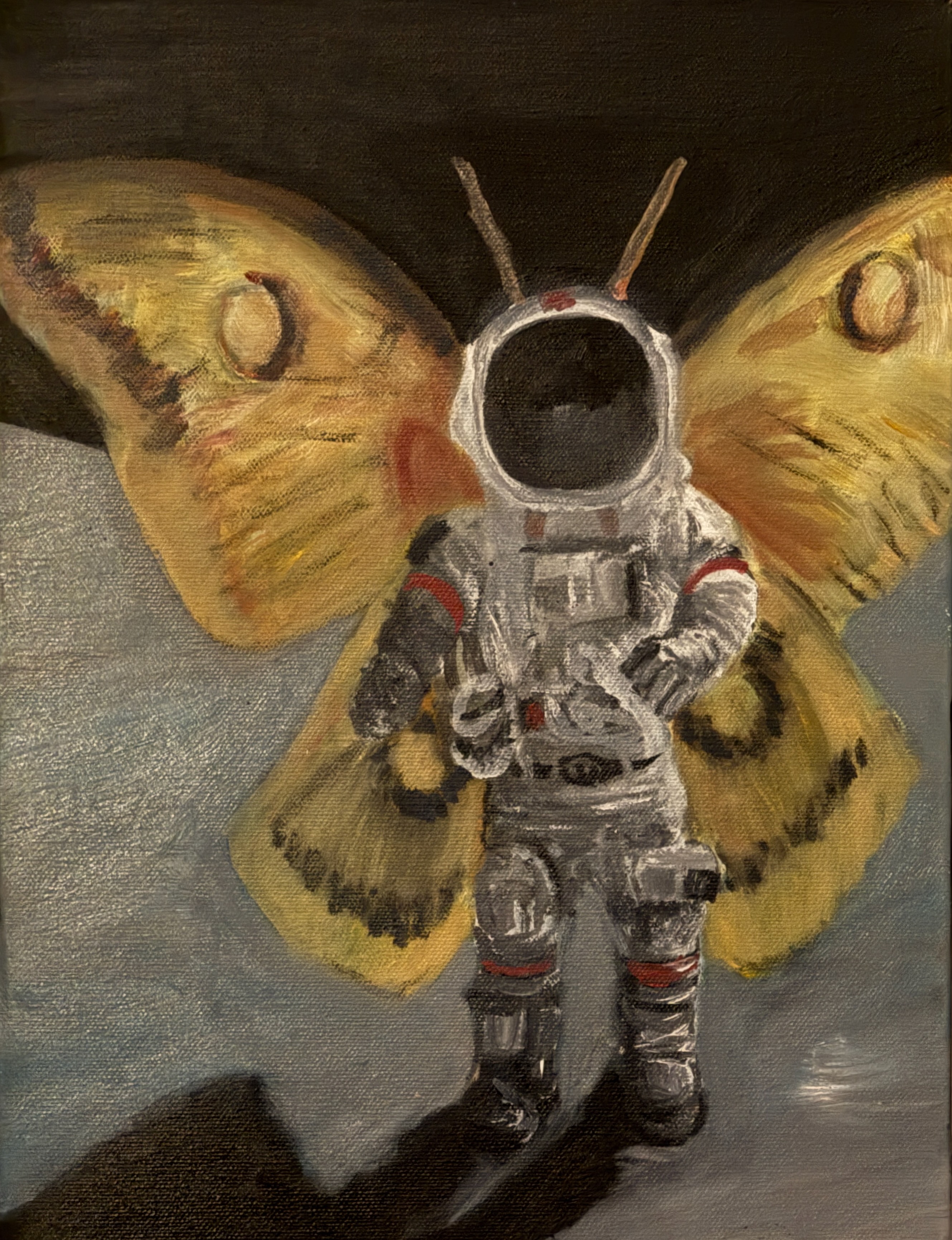 Moth Moon Man (2013)