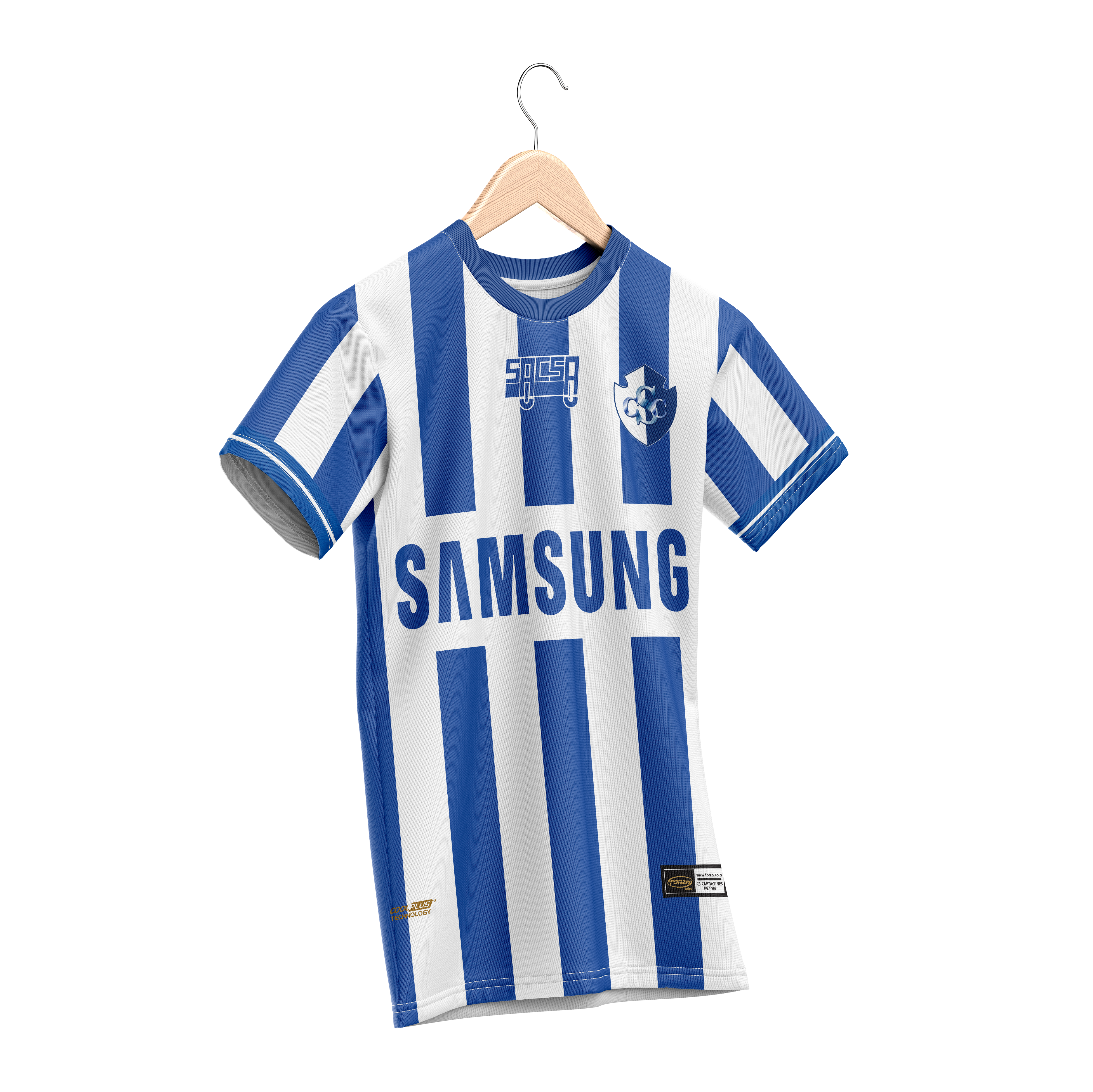 Cartagines 2003 Casa