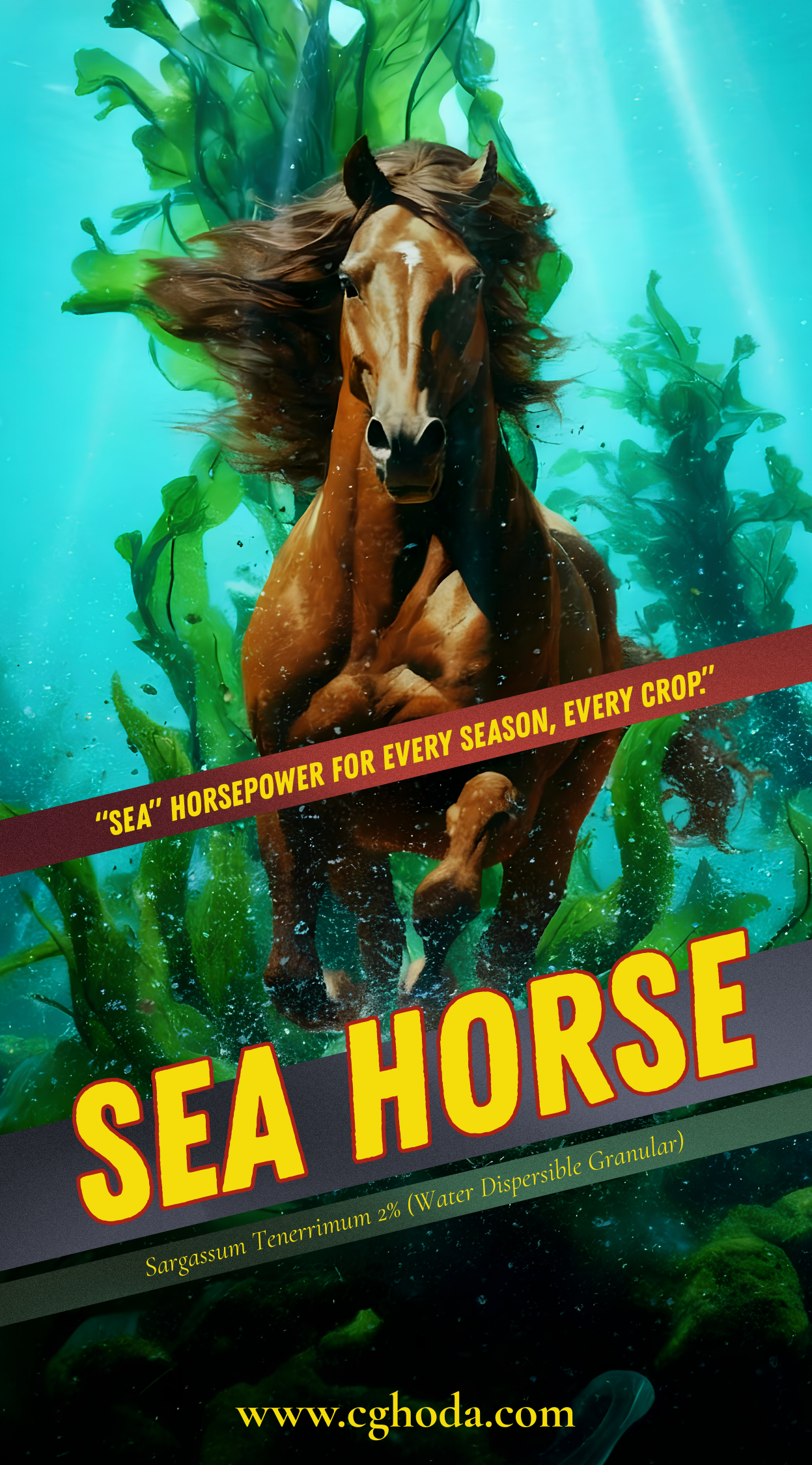 Sea Horse - Bio Stimulant