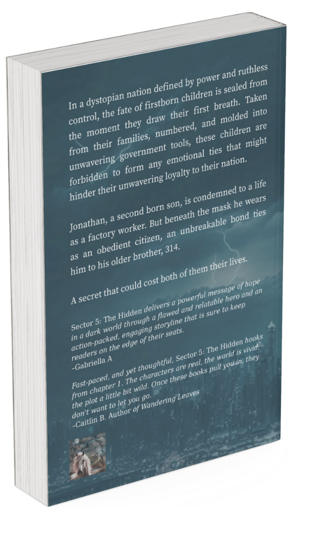 Sector 5 The Hidden (Damaged) 