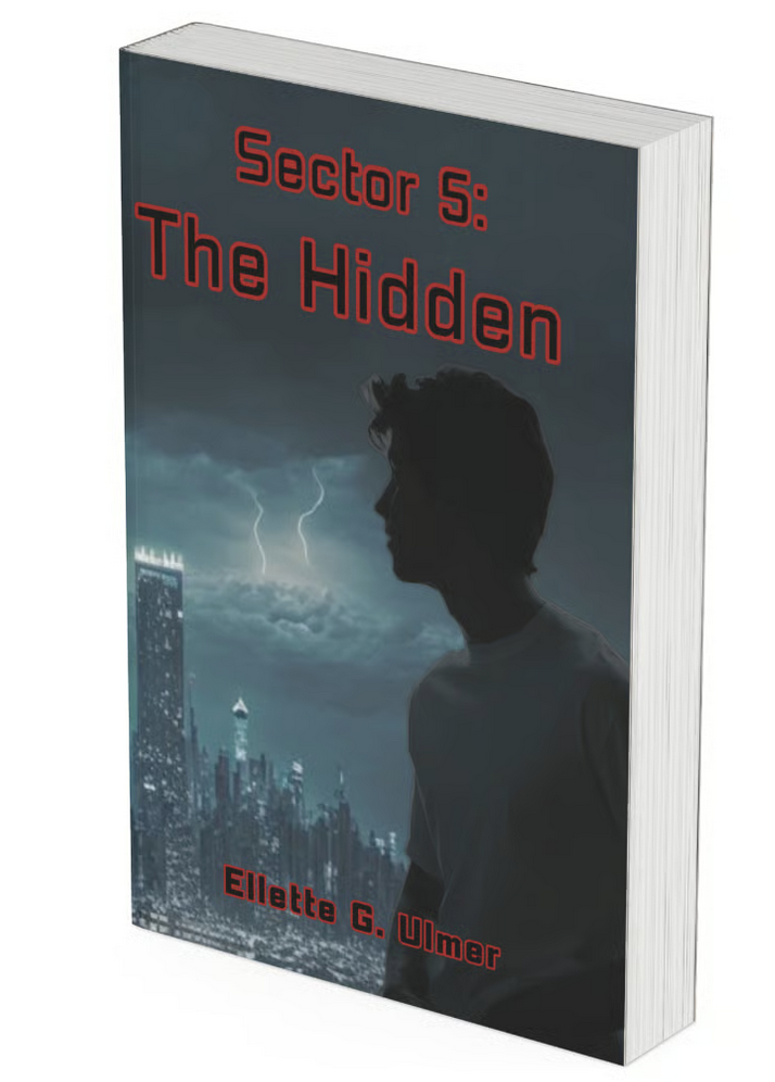 Sector 5: The Hidden