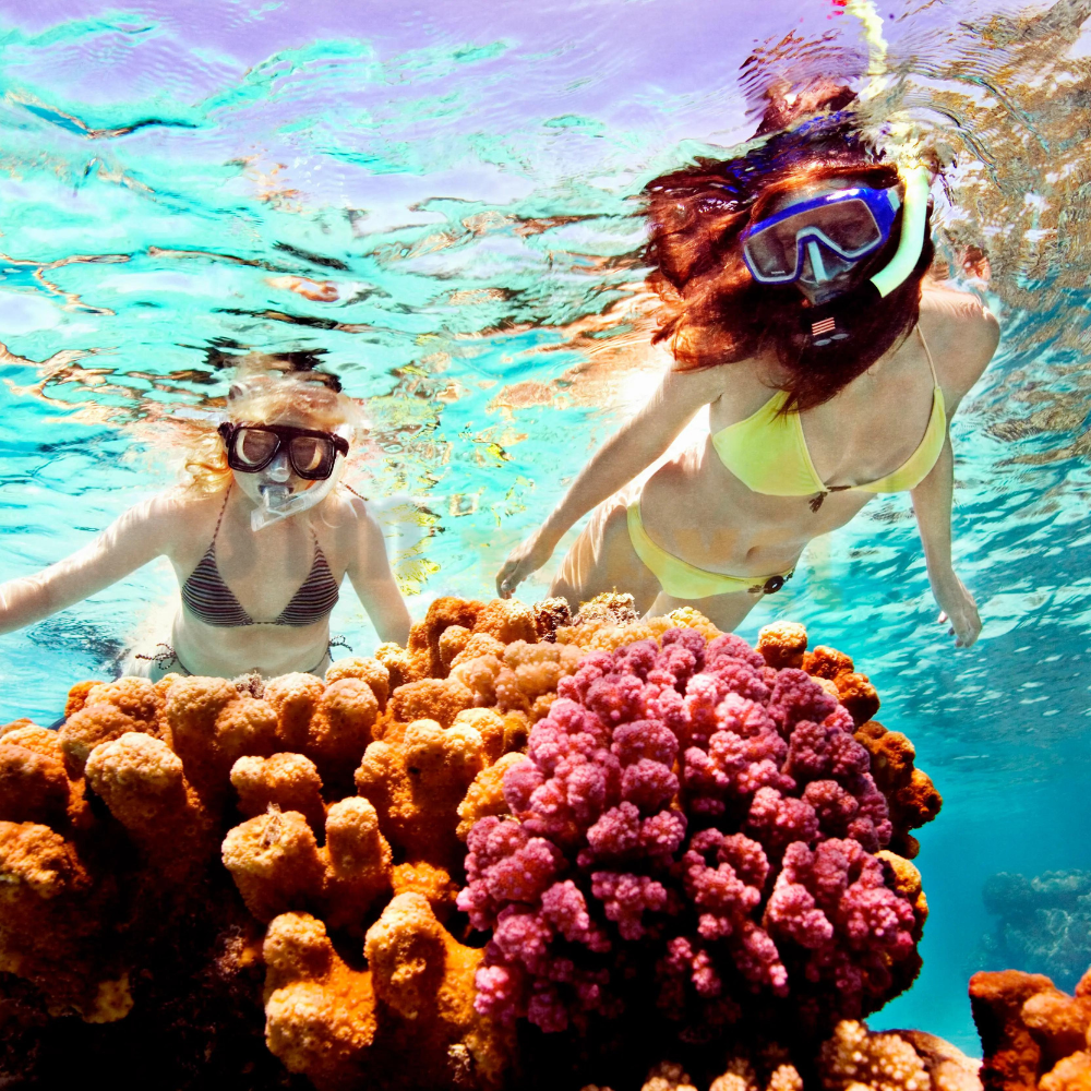 Sharm El Naga Coral Reef from Hurghada