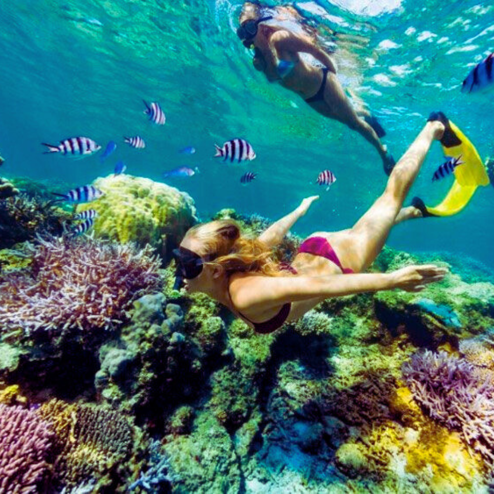 Sharm El Naga Coral Reef from Hurghada