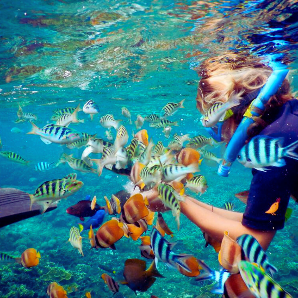 Sharm El Naga Coral Reef from Hurghada