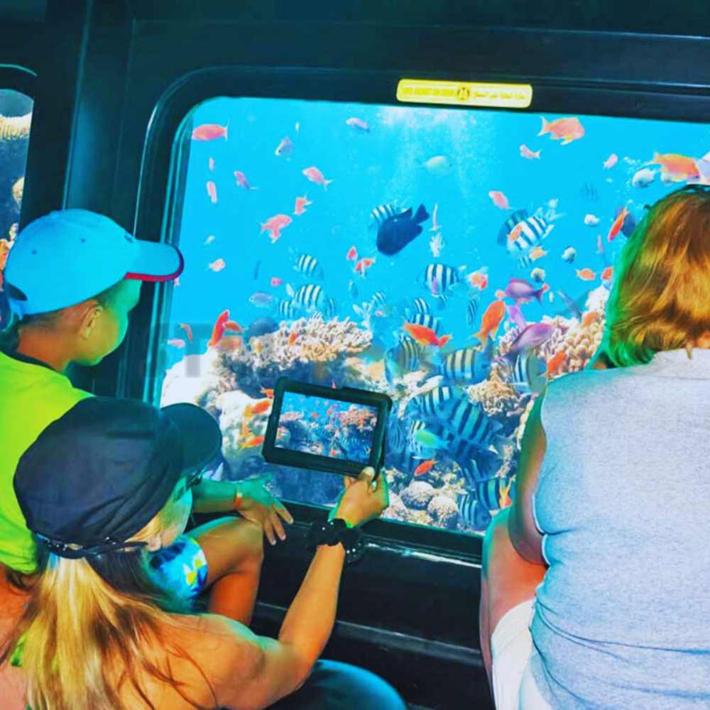 Mini-submarine + snorkeling excursion in Hurghada