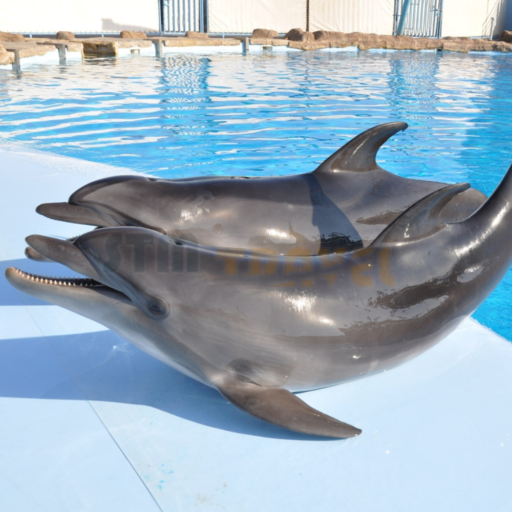 Dolphinarium in Hurghada