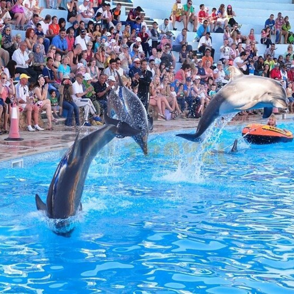 Dolphinarium in Hurghada