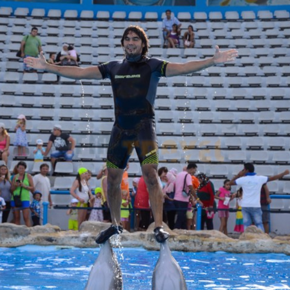 Dolphinarium in Hurghada