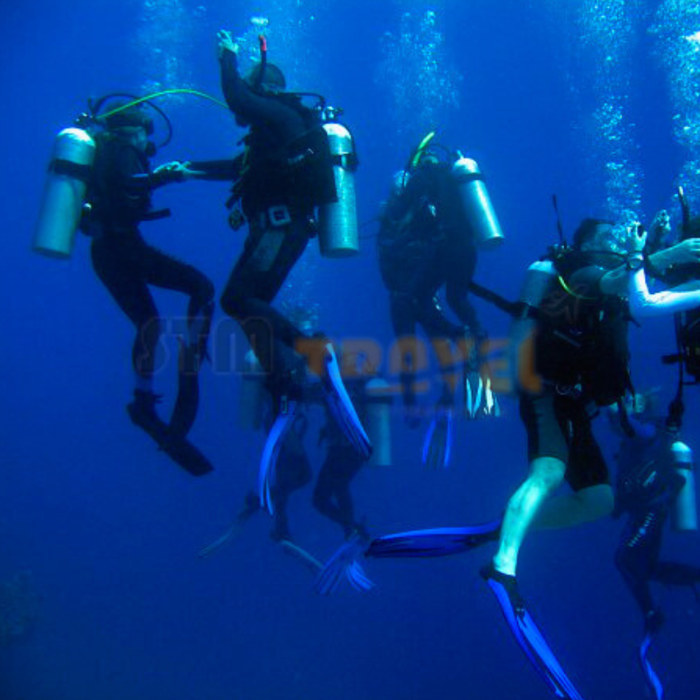 Open Water Diving Course