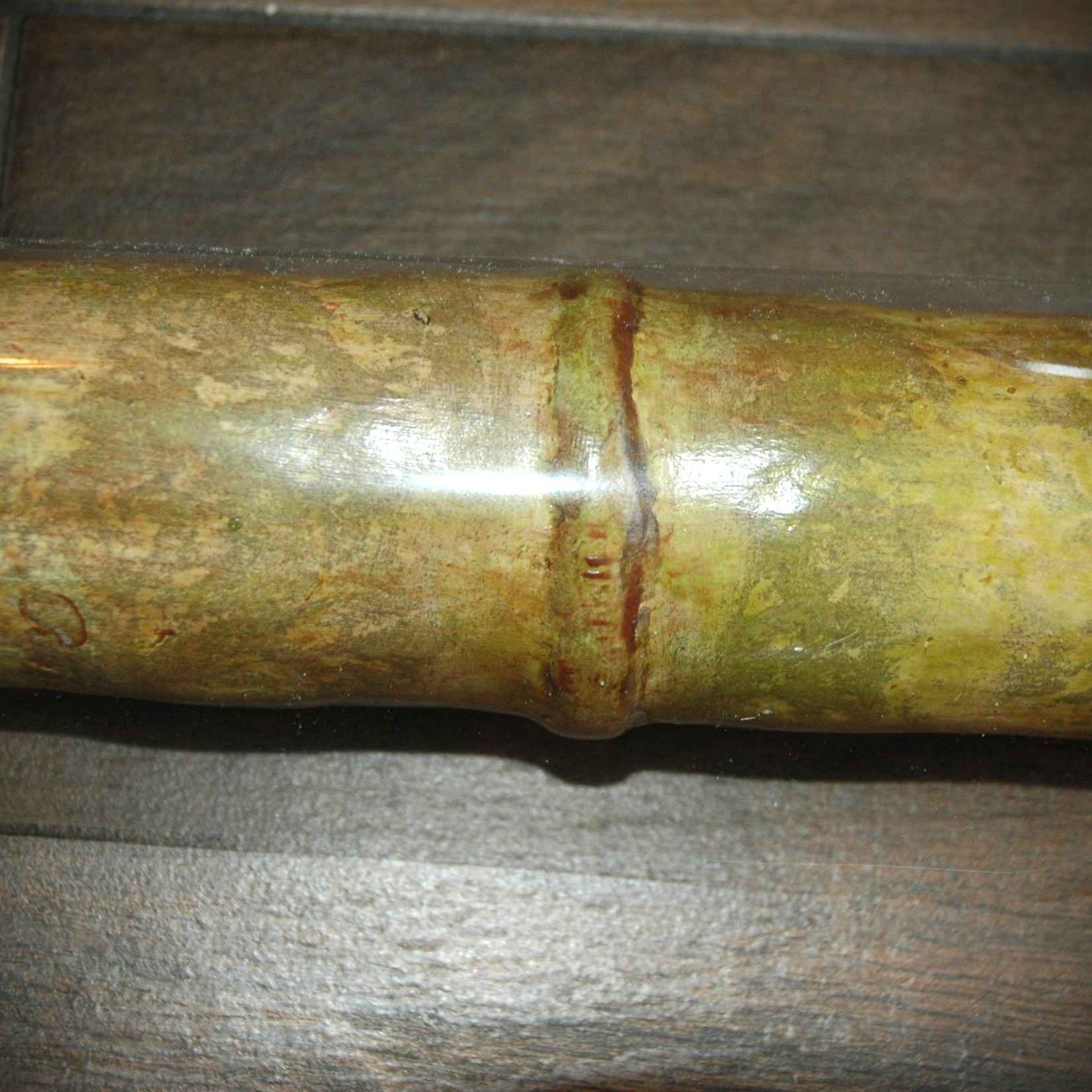 Bambou bonbon moutarde
