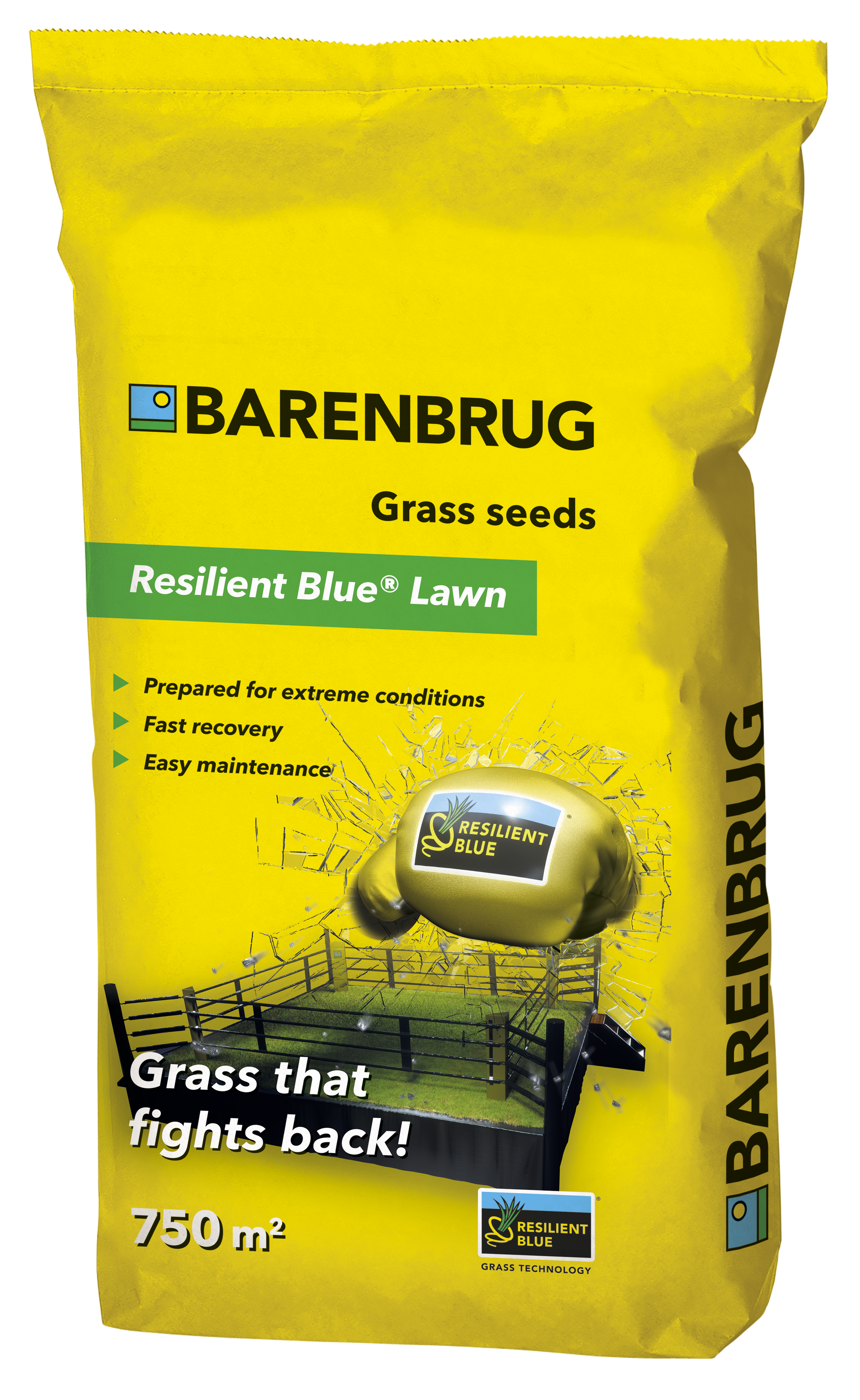 Resilient Blue Lawn