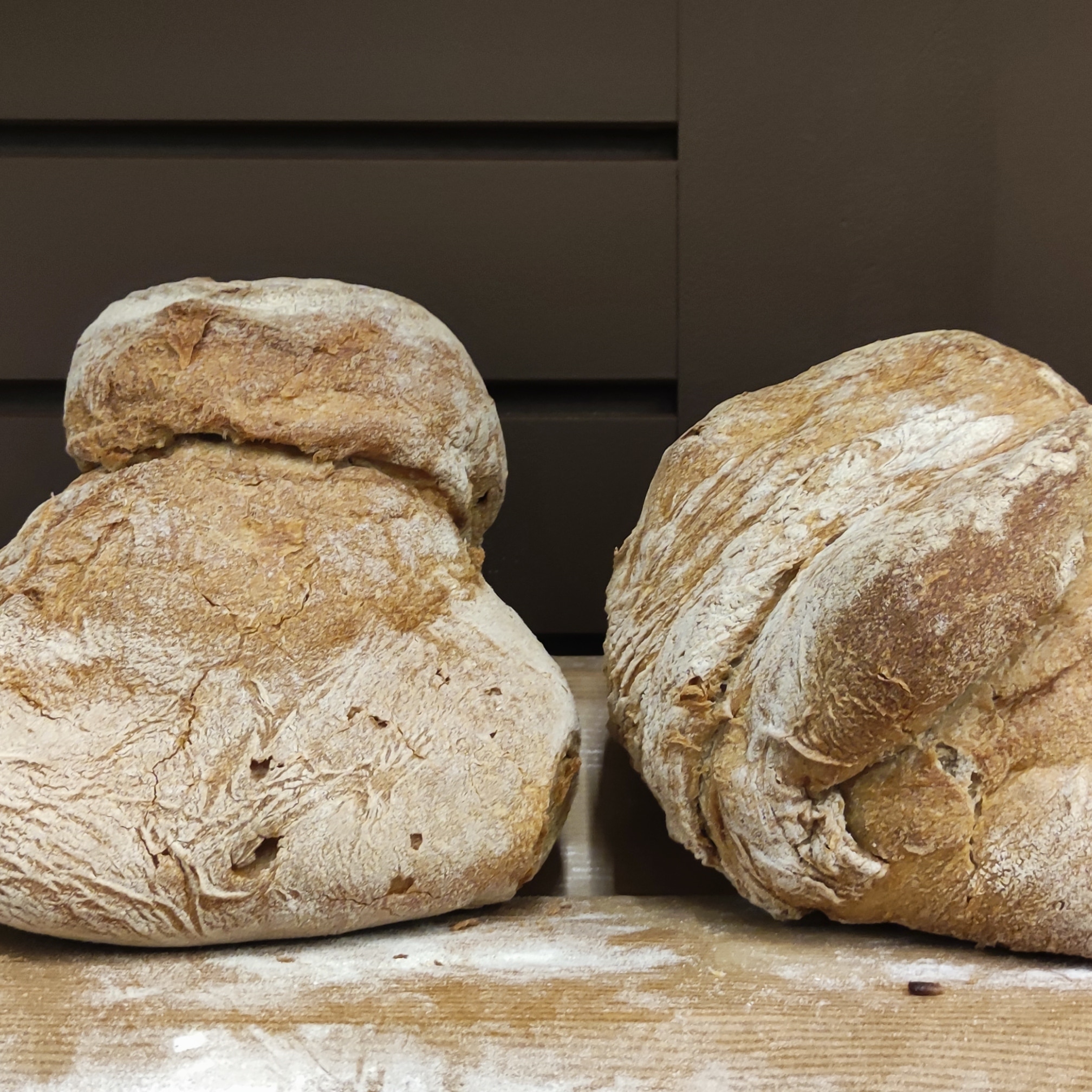 Alentejano brood - 800g