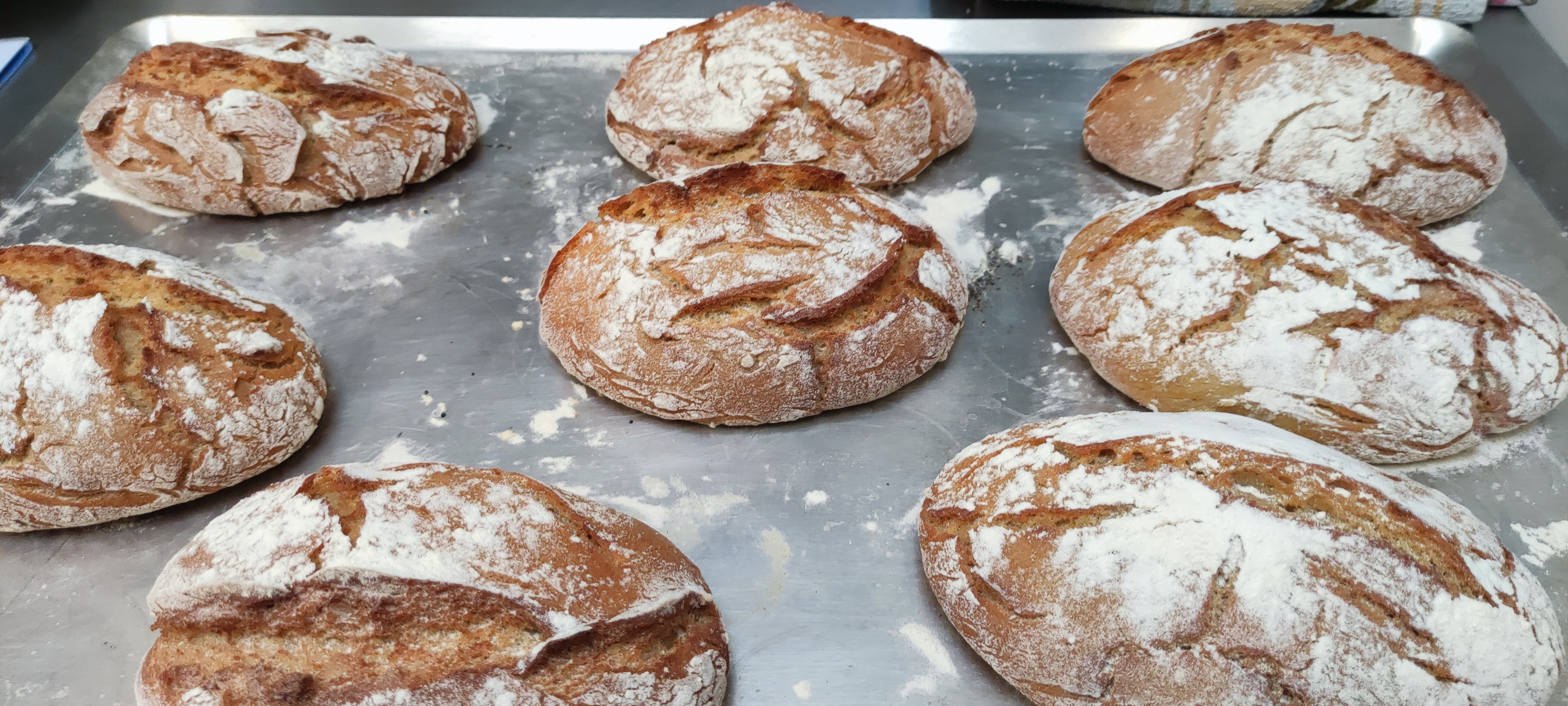Maïsbrood (Broa de milho) - 500g