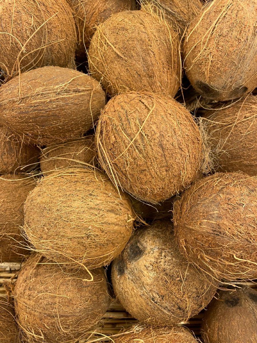 Coconut Husked