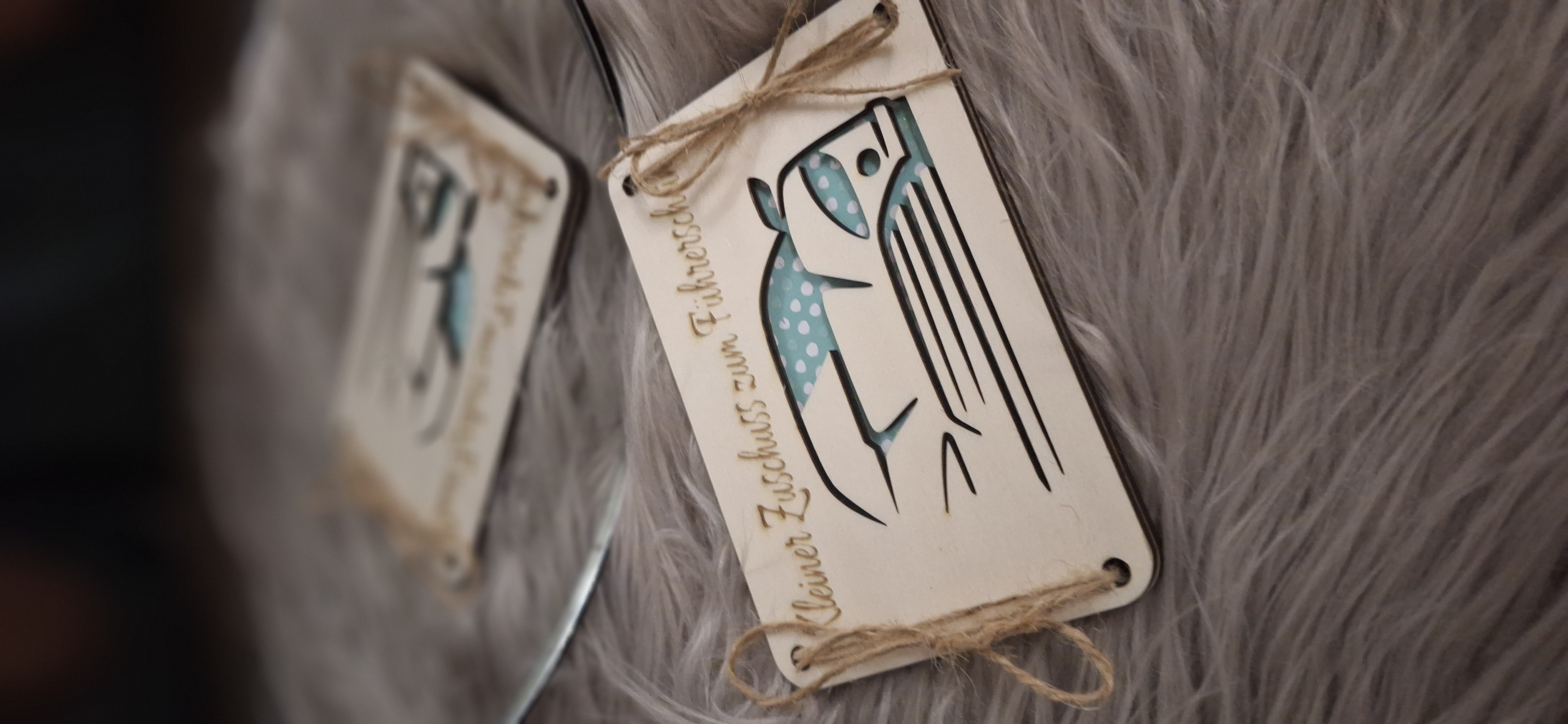 Geldkarte zum Führerschein