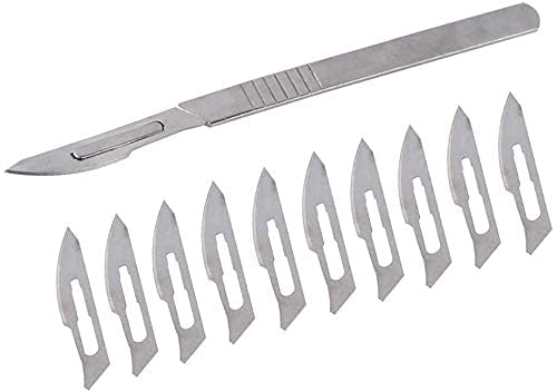 Scalpel with Replaceable Blades
