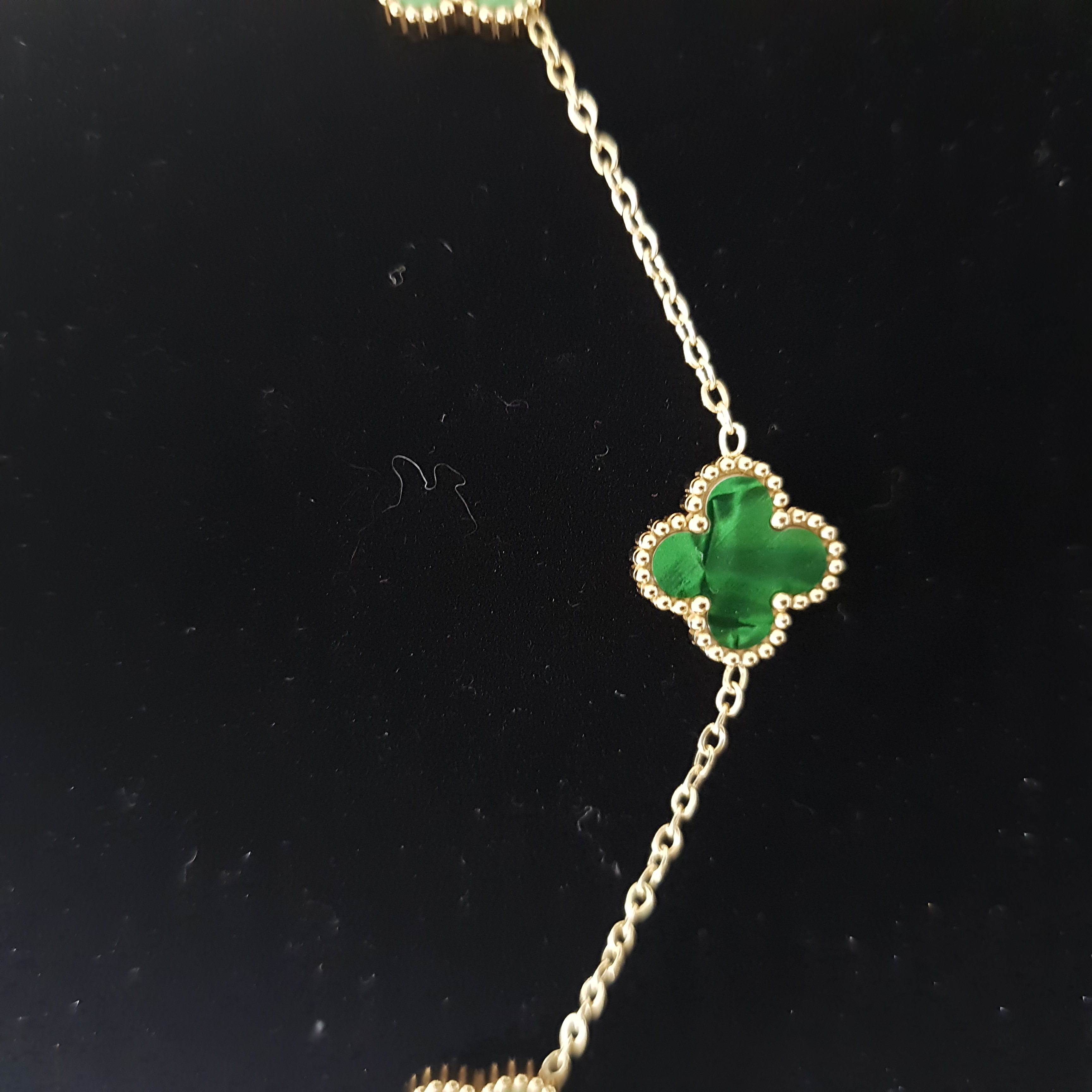 Evergreen Luck | Daily Dose Collection