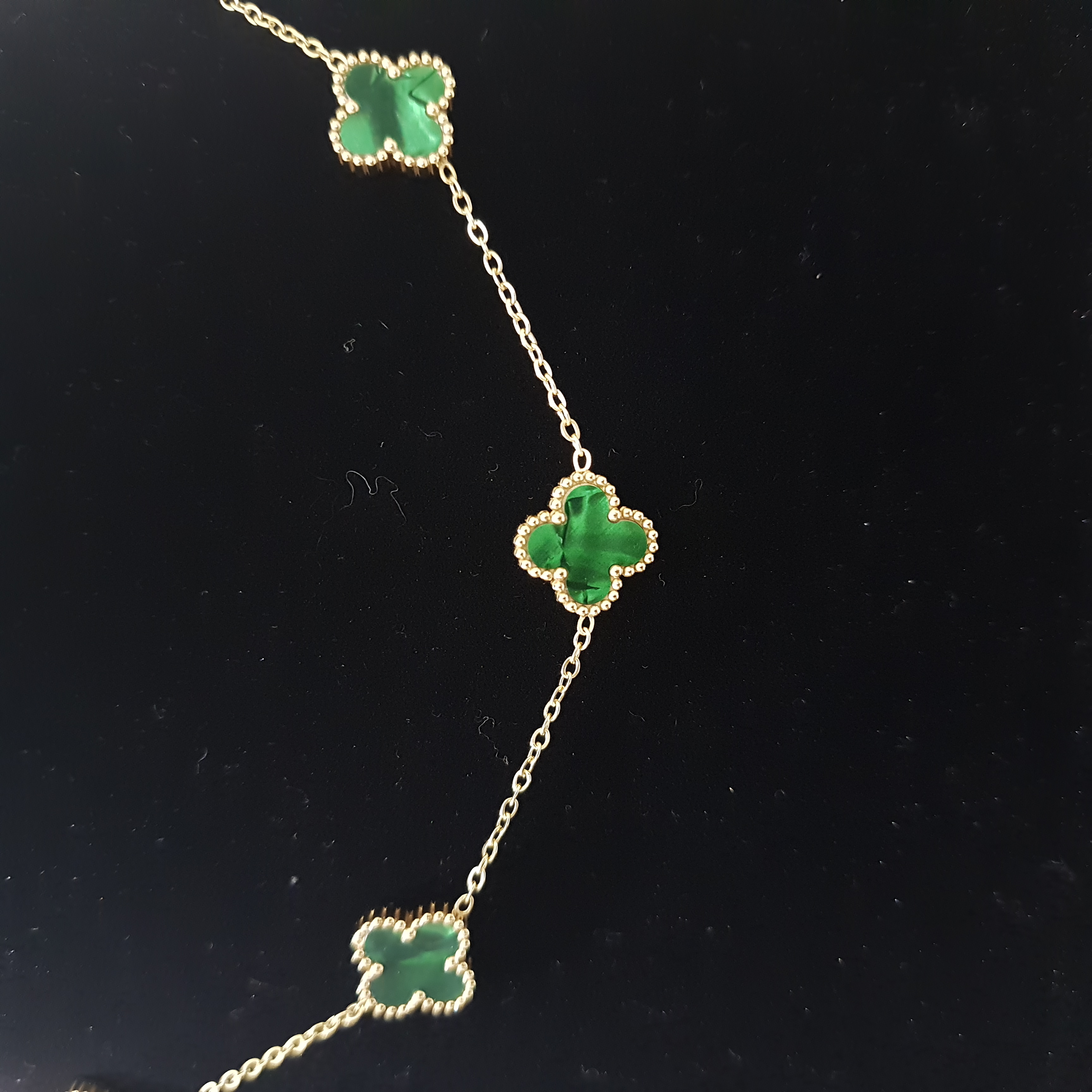 Evergreen Luck | Daily Dose Collection