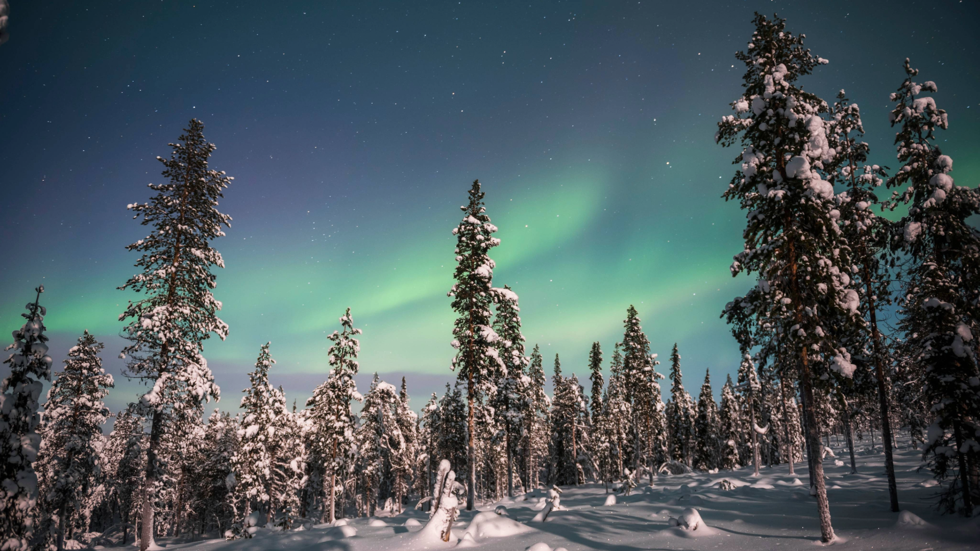 VIAGGIO in LAPPONIA Finlandese 5-11 Gennaio 2026 (7 giorni/6 notti)