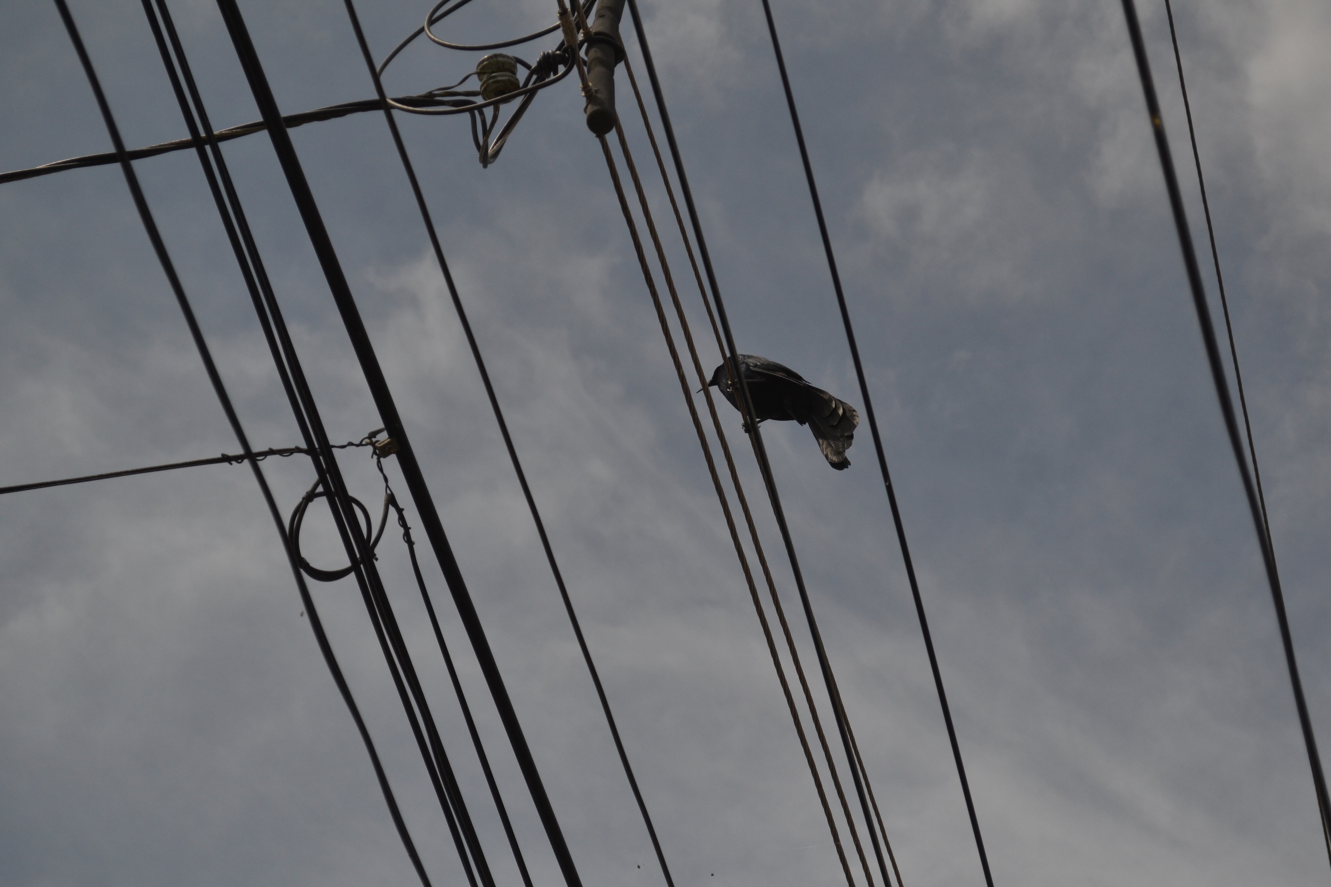Scenic Jaco, Costa Rica