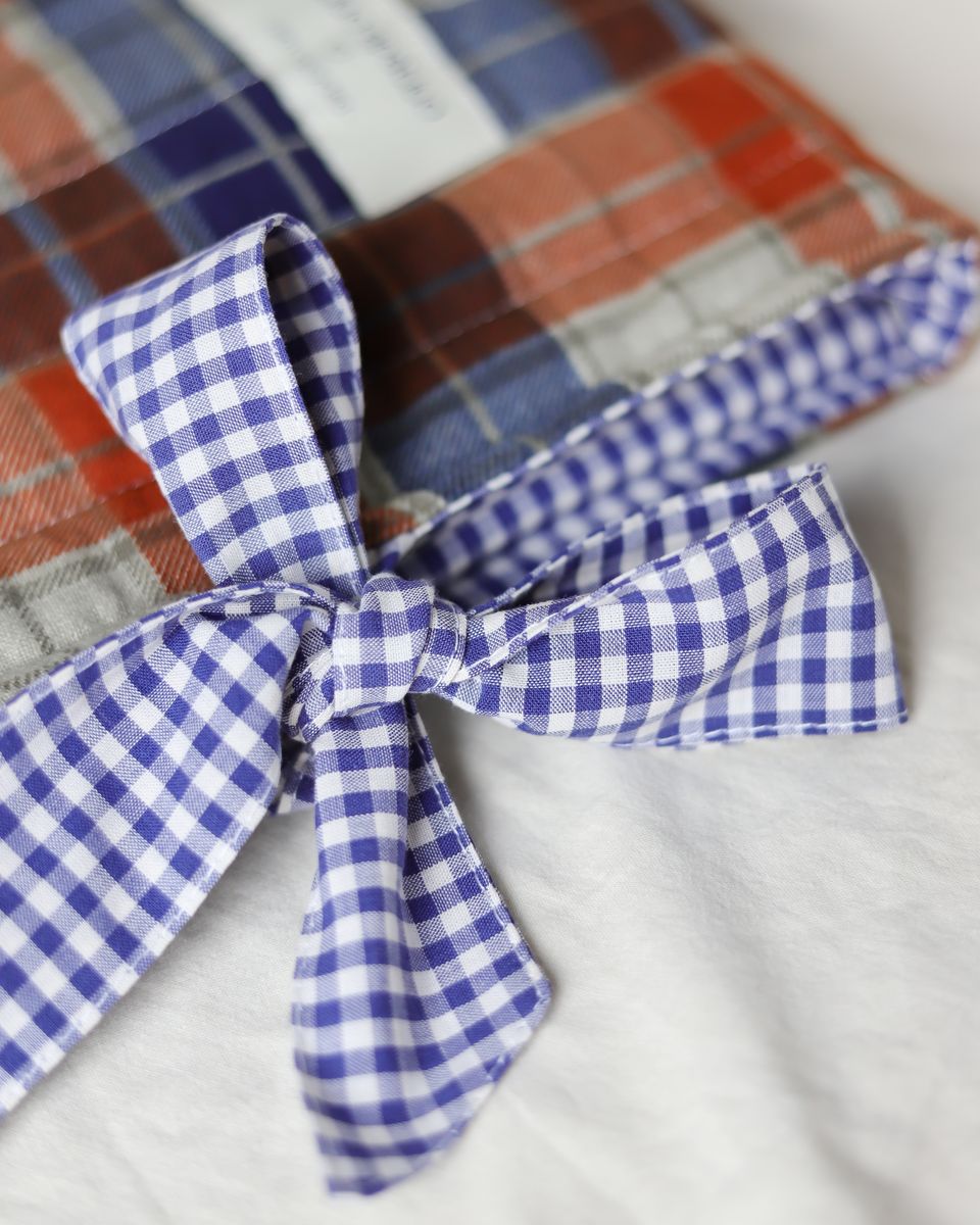 Knygos Dėkliukas Raštai IX