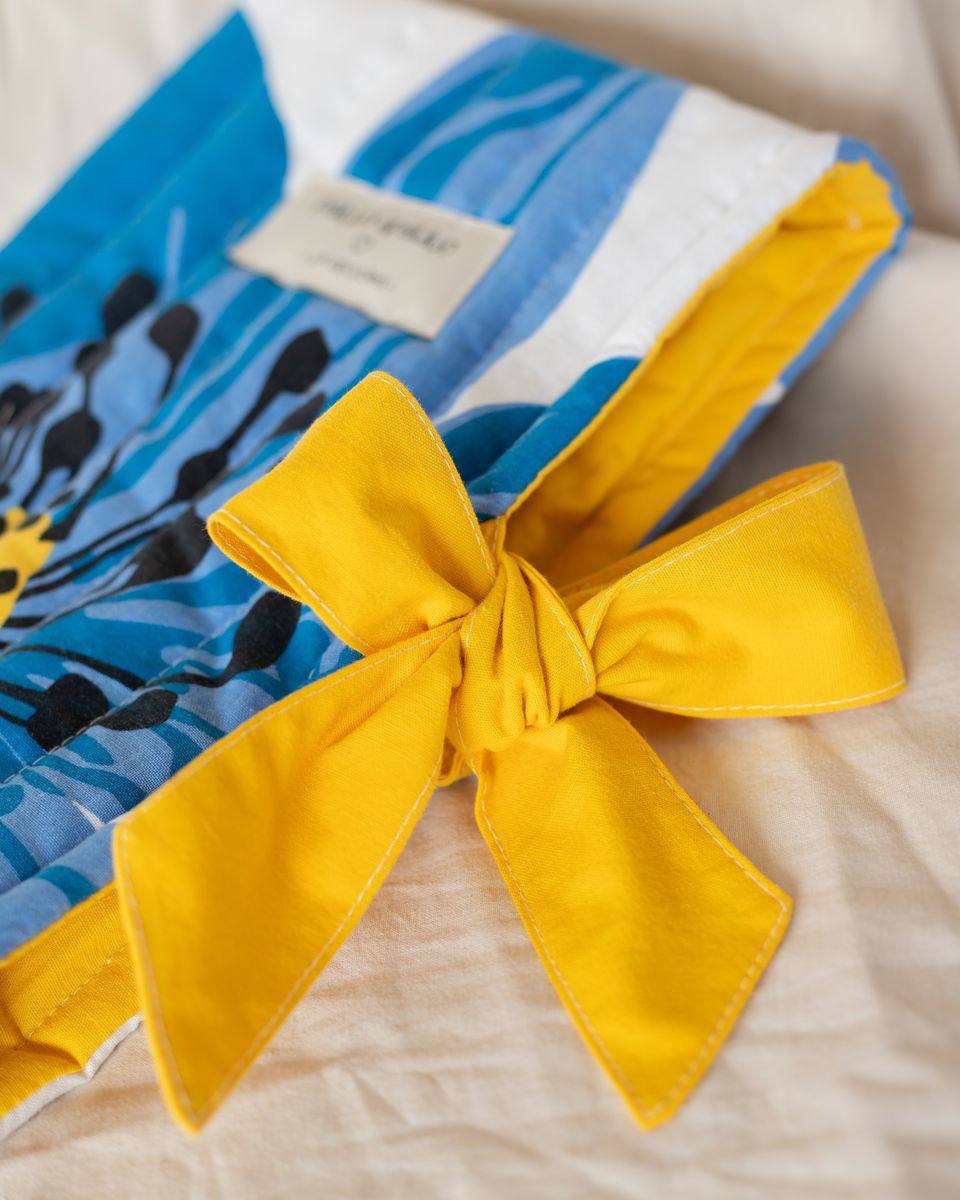 Knygos Dėkliukas IV