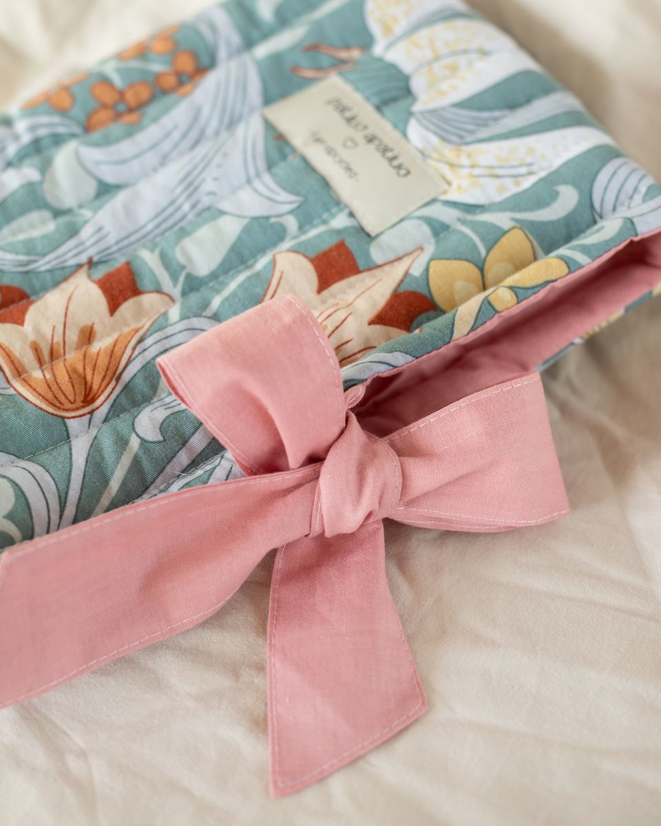 Knygos Dėkliukas XI