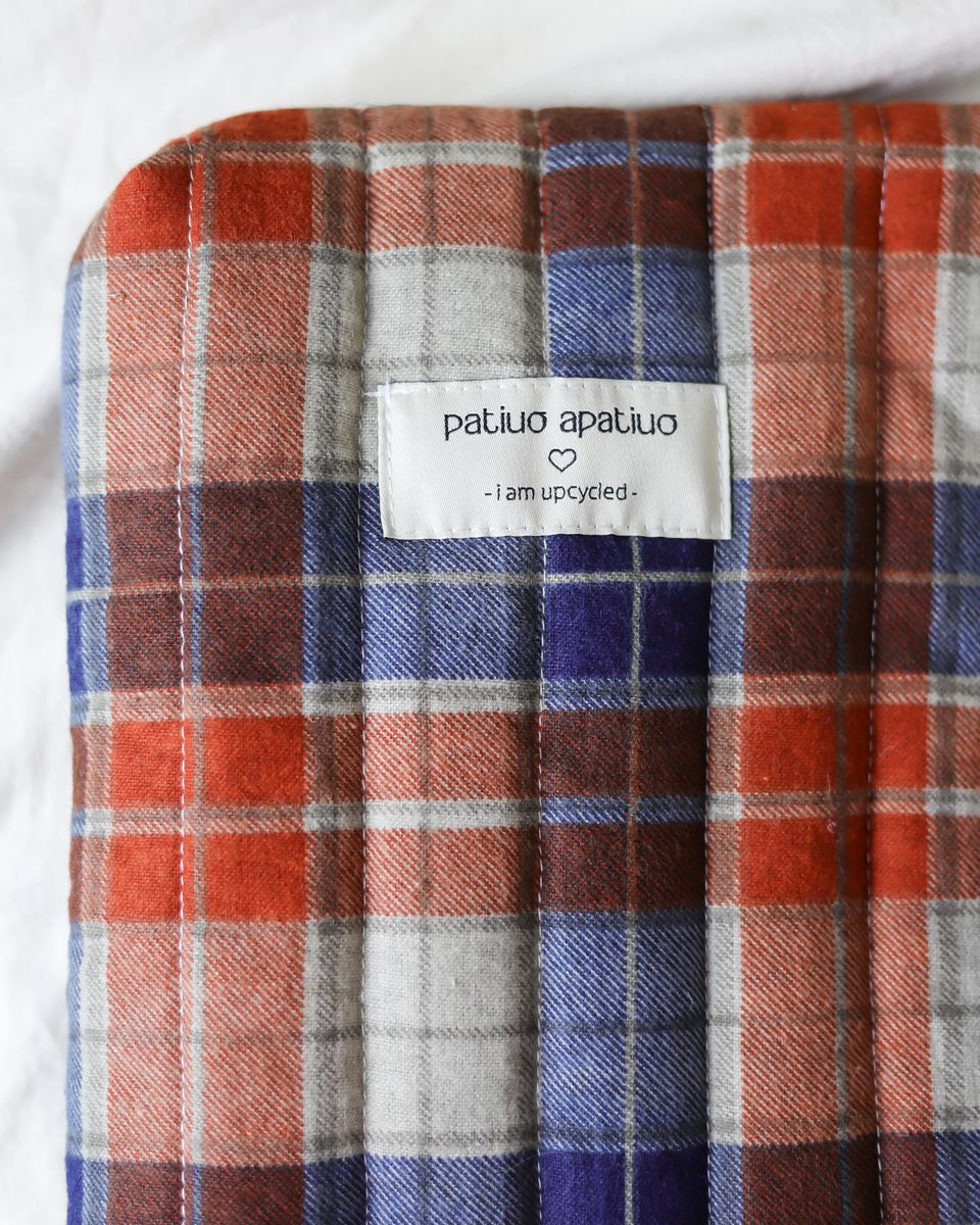 Knygos Dėkliukas Raštai IX