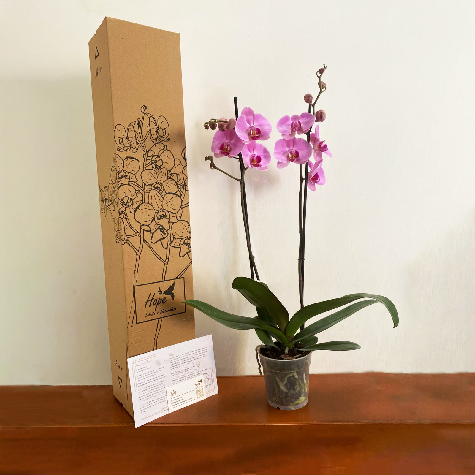 Orquídeas Supreme 