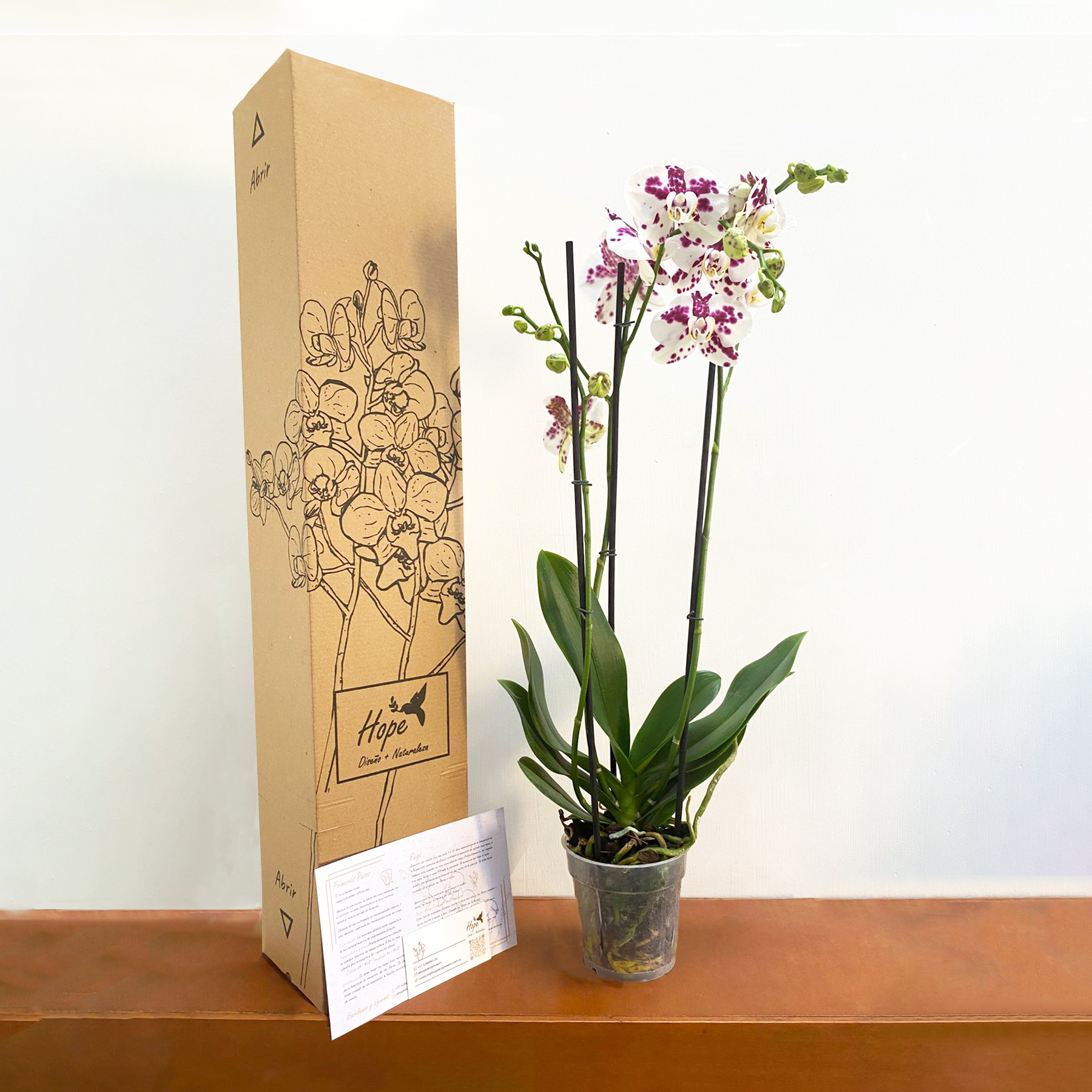 Orquídeas Imperial