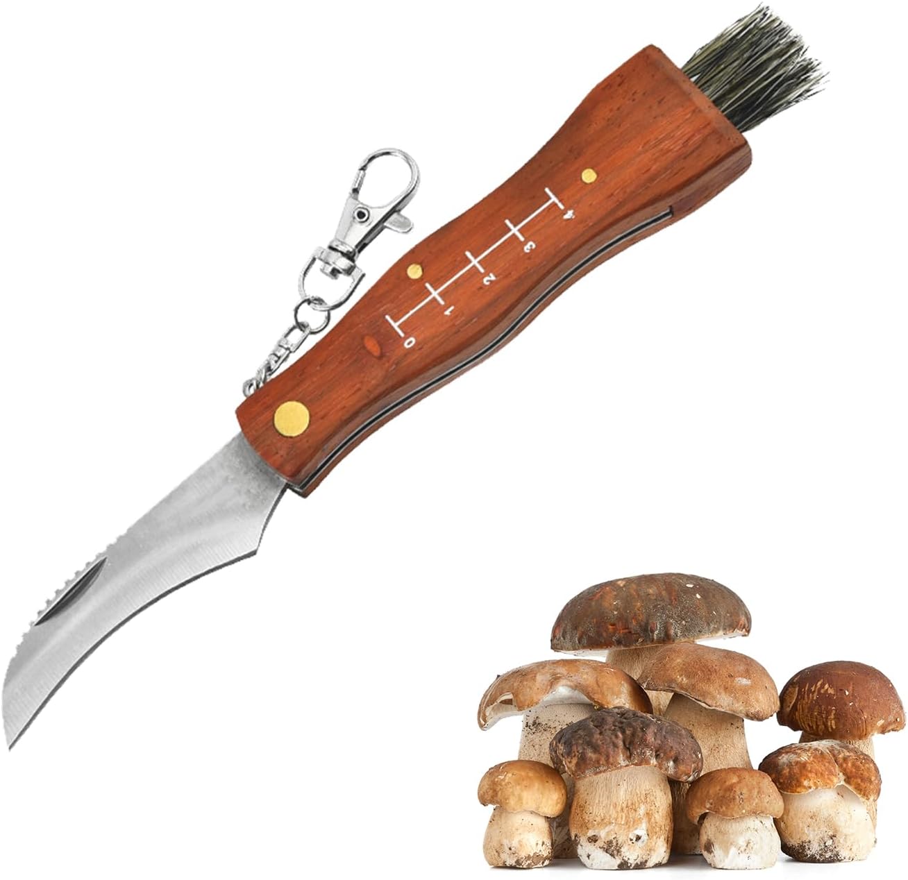 Couteau à champignons