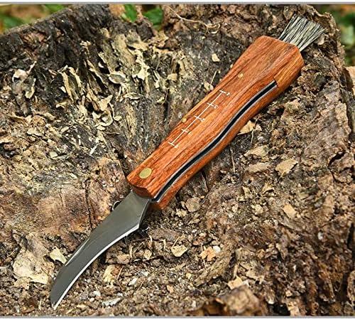 Couteau à champignons 