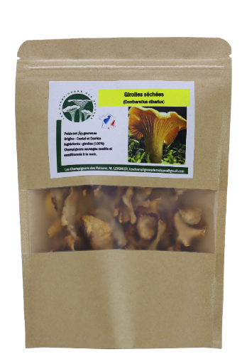 Girolles (Cantharellus cibarius)