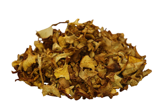 Girolles  (Cantharellus cibarius) 