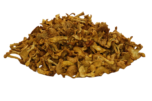 Pied-de-Mouton  (Hydnum Repandum) 