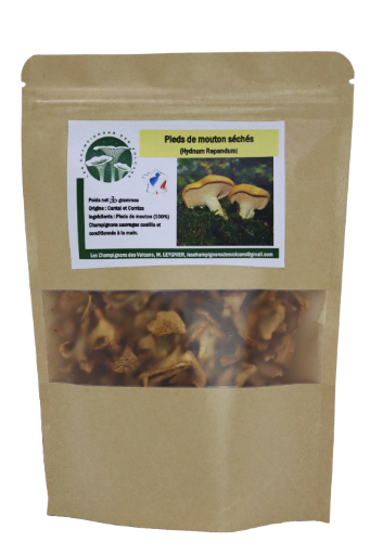 Pied-de-Mouton (Hydnum Repandum)