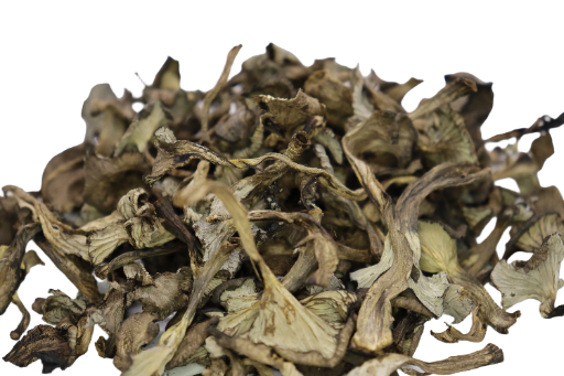 Chanterelles Cendrées  (Craterellus cinereus) 