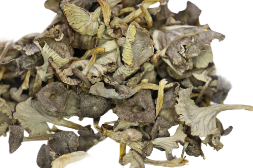 Chanterelles en Tube  (Cantharellus tubae formis) 