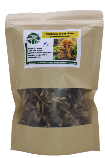 Chanterelles en Tube (Cantharellus tubae formis)
