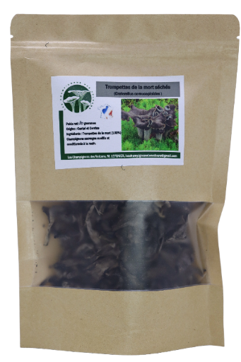 Trompettes de la Mort (Craterellus cornucopioides )