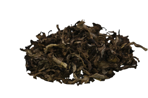 Trompettes de la Mort  (Craterellus cornucopioides ) 