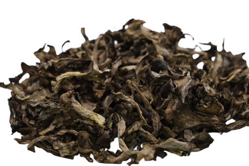 Trompettes de la Mort  (Craterellus cornucopioides ) 