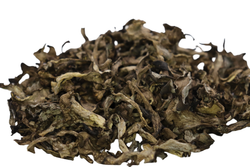 Trompettes de la Mort  (Craterellus cornucopioides ) 