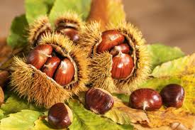 Crème de Marron note de Vanille Bourbon