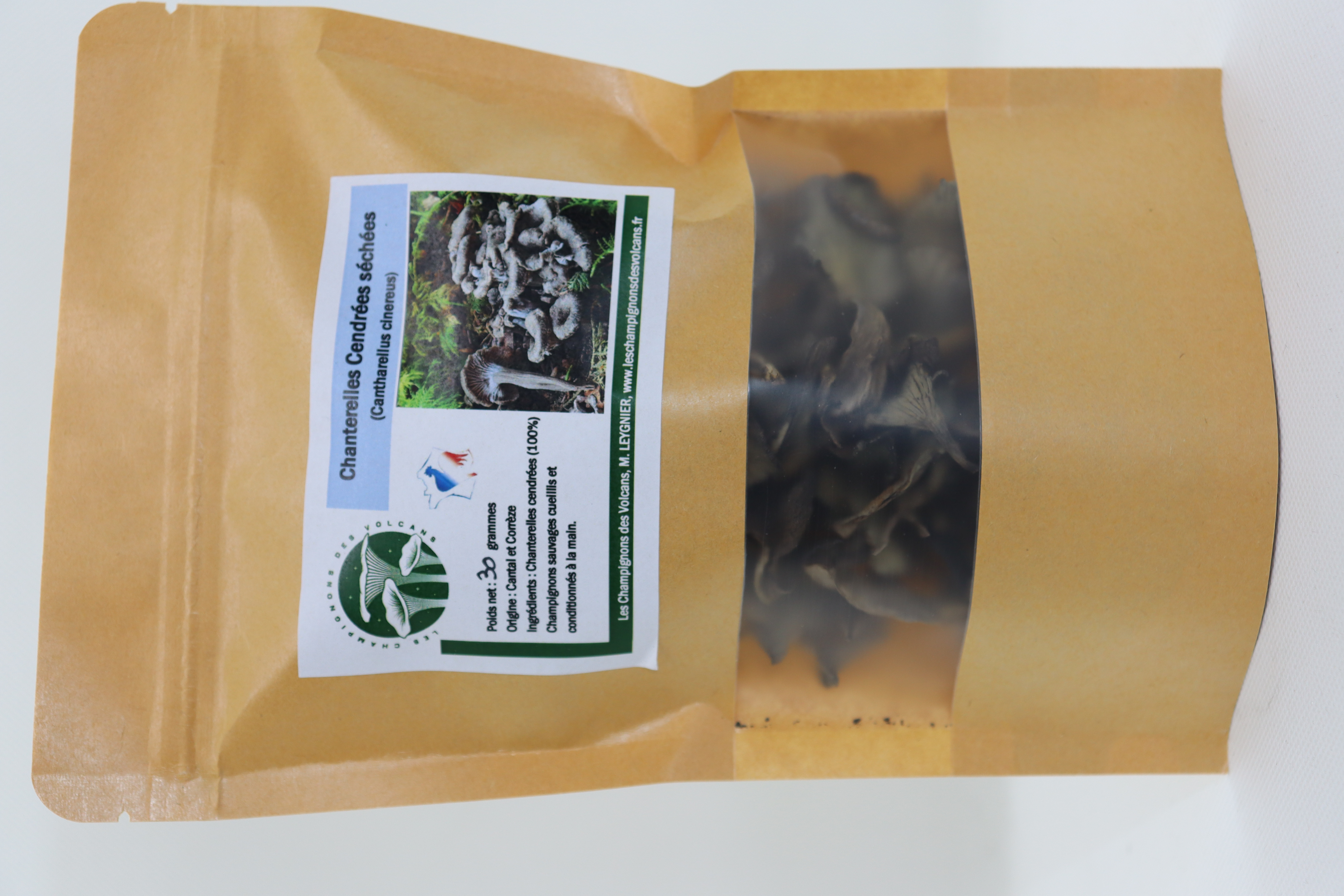 Chanterelles Cendrées (Craterellus cinereus)