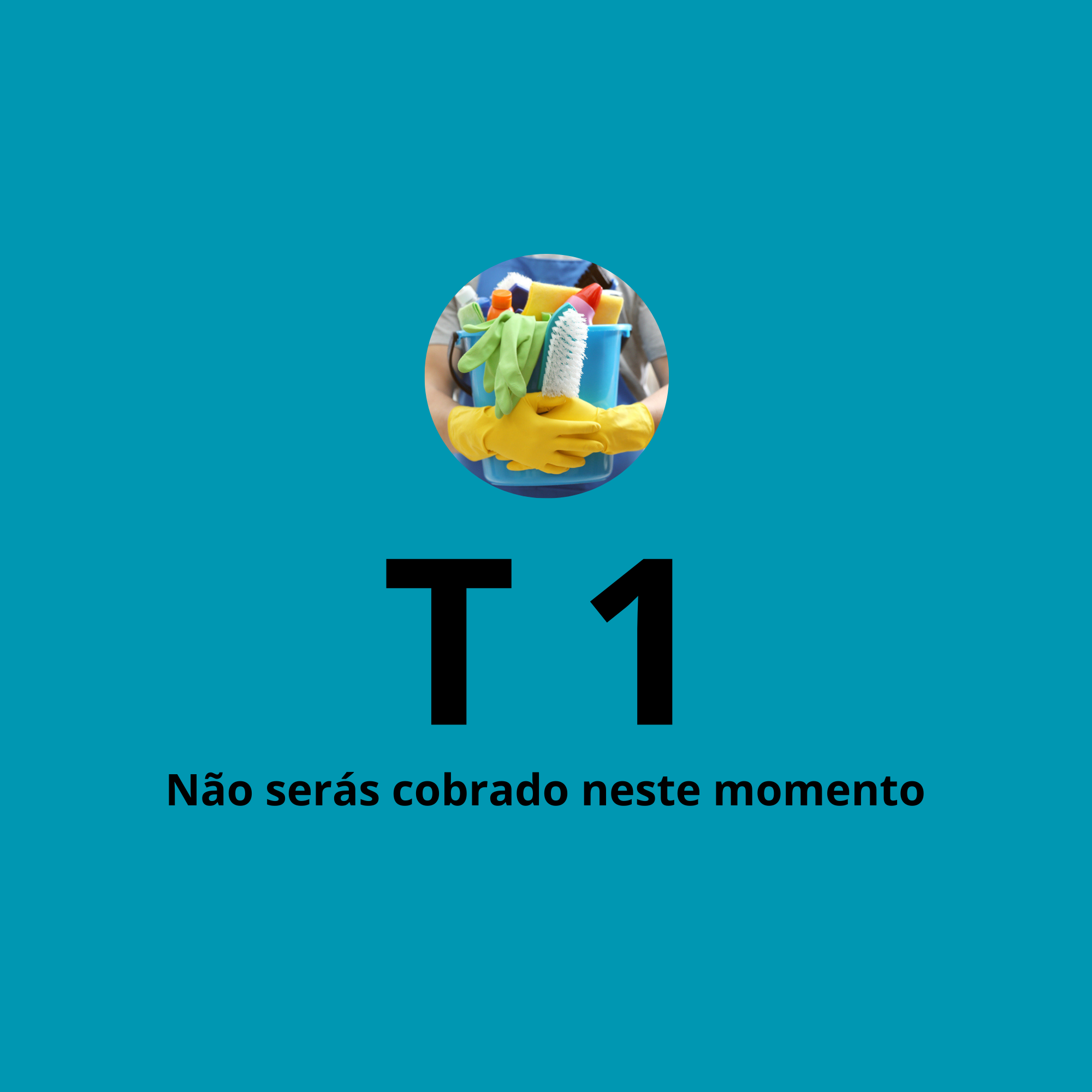 Limpeza Doméstica Profunda