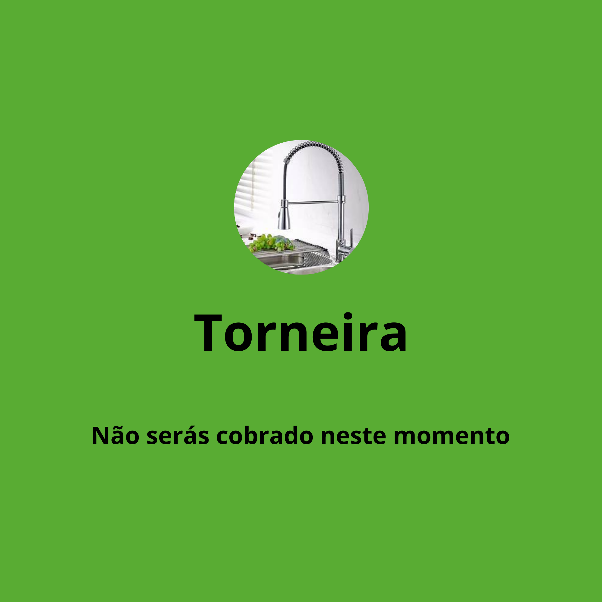 Reparar Torneira de lava-loiça